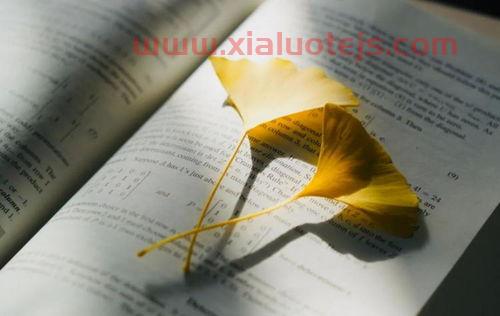 清华大学金融学的书籍（清华大学金融学书单）