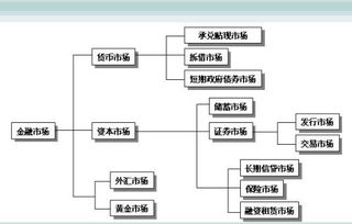 金融结构的特征是什么意思（金融结构包括 的结构和 的结构两个方面）