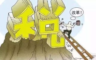 金融服务业交什么税（金融服务业怎么交税）