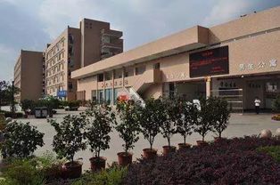 金融学校学什么专业（金融学校都学什么）