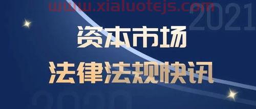 瑞贝卡股票