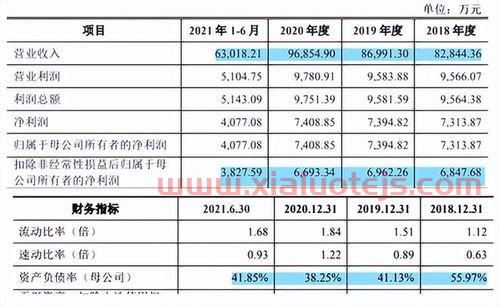 阐明是什么意思