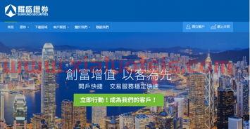 浙商国际期货