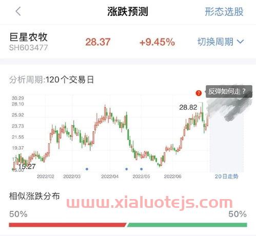 猪肉板块股票龙头股