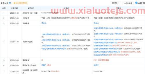 比亚迪股东持股比例