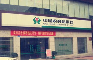中央银行是银行金融机构（中央银行是银行金融机构吗）