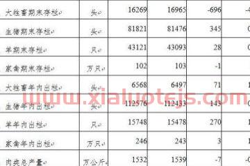 为什么选择金融学专业论文（为什么选择金融类专业）