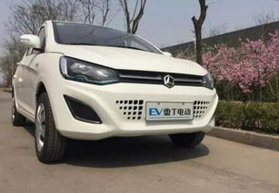 e雷丁电动汽车价格表（雷丁电动汽车价格 d30）