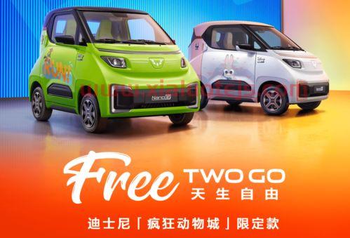 五菱两座电动汽车价格表（五菱纯电动两座）