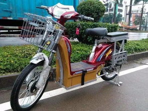 29寸电动汽车价格表（电动车20寸是多少厘米）