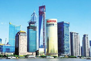 上海环球金融中心旅游视频（上海环球金融中心讲解词）