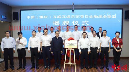 重庆金融服务业（重庆金融服务有限公司电话）