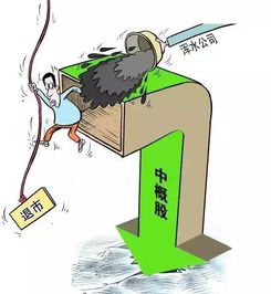金融中的浑水是什么意思（浑水是做什么的）