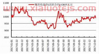 油脂期货价格走势分析（油脂价格走势图）