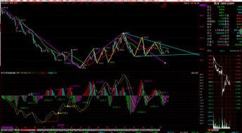 铁矿石期权期货行情分析（铁矿石期货2021基本面分析）