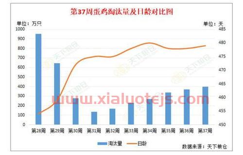 期货限仓对价格的影响（限仓会导致期货价格下跌吗）