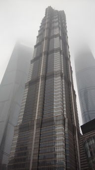 上海环球金融中心塔电梯（上海环球金融中心坐电梯视频）