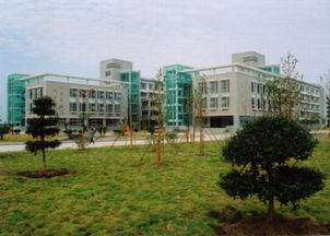 浙江金融学院学什么专业好（浙江金融学院是本科还是专科）