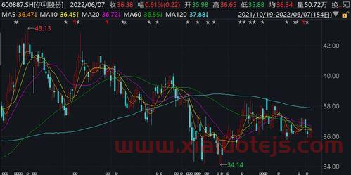 002005德豪润达股吧