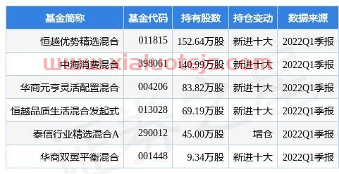 合金投资