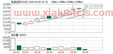 深大通000038股吧