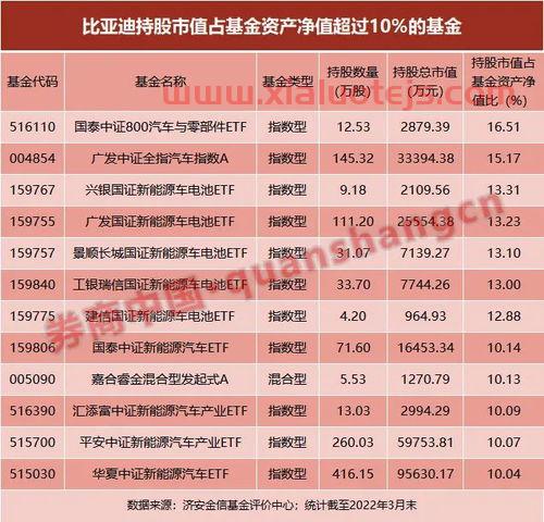新债中签后怎么缴费