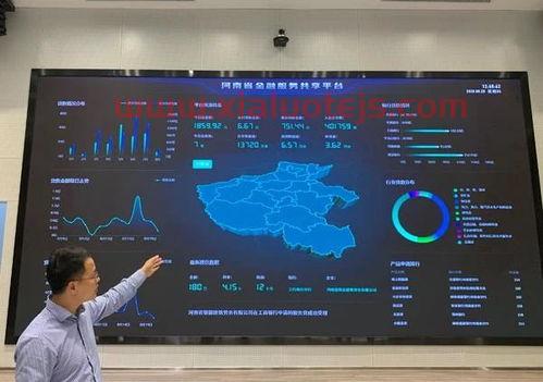 中国白银集团