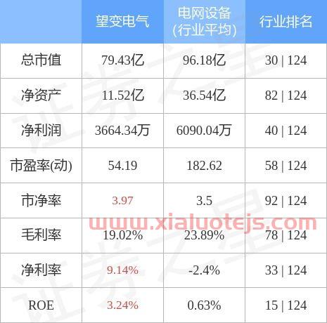 望变电气603191股吧