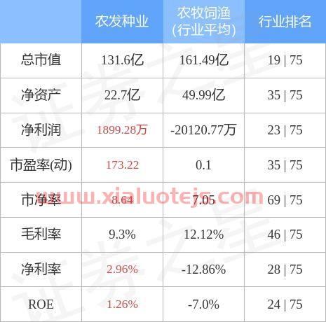 600313股票行情