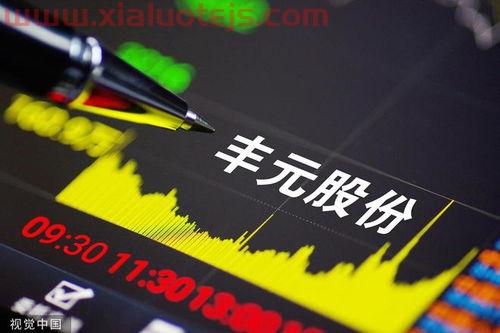 丰元股份最新消息